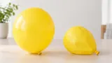 Duas bexigas amarelas sem marca: uma cheia e outra parcialmente murcha sobre uma mesa clara.